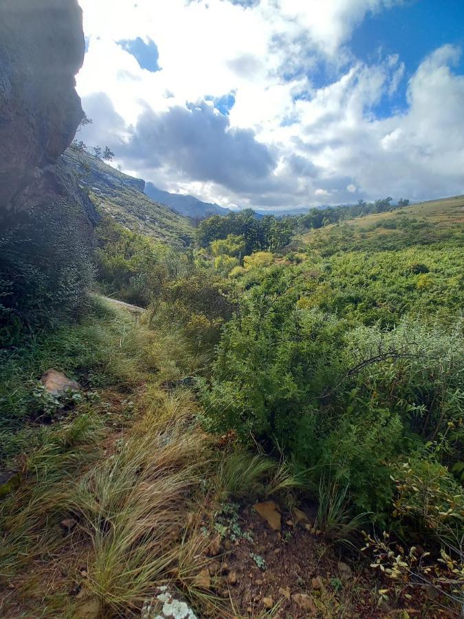 Forest Lane Clarens Exterior foto